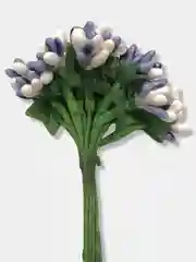 Сиреневый тычинки гладкие двухцветные. 12 штук