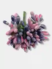 Конфетный тычинки гладкие двухцветные. 12 штук