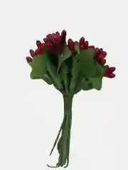 Красный тычинки гладкие двухцветные. 12 штук