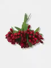 Красный тычинки гладкие двухцветные. 12 штук