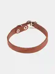 Шоколадный ошейник кожаный однослойный