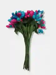 Морской тычинки гладкие двухцветные. 12 штук
