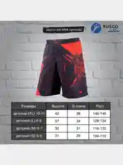 Шорты спортивные RuscoSport