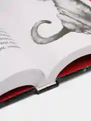Караг и волчье испытание (#7), Катя Брандис