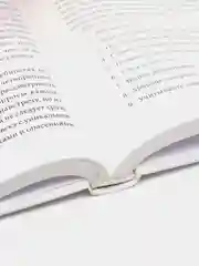 Воспитание сердцем. Без правил и условий, Кон Альфи