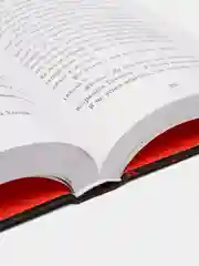 День огня (#6), Катя Брандис