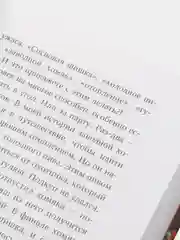 День огня (#6), Катя Брандис