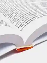 Исцеление воспоминанием, Жильбер Рено