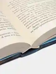 Шолох. Теневые блики, Антонина Крейн