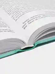 Когда ты будешь готова. Как спокойно спланировать беременность, Елена Березовская