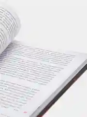 Злая книга, Магнус Мист
