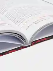 Злая книга, Магнус Мист