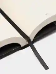 Milk and Honey. Белые стихи, покорившие мир, Рупи Каур