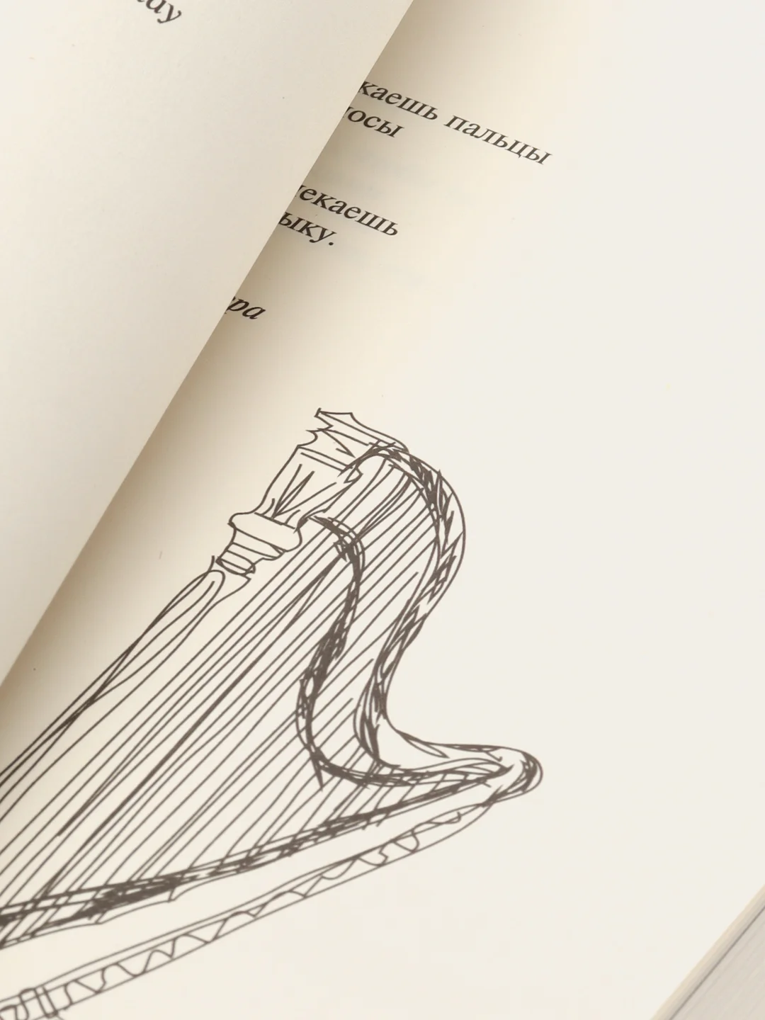 Milk and Honey. Белые стихи, покорившие мир, Рупи Каур