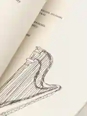 Milk and Honey. Белые стихи, покорившие мир, Рупи Каур