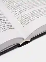 Девушка и ночь, Гийоми Мюссо