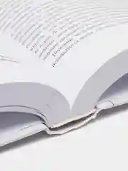 Как изобрести все. Создай цивилизацию с нуля, Райан Норт