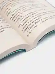 Чучело от первого брака, Дарья Донцова