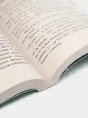 Аллергия на кота Базилио, Дарья Донцова