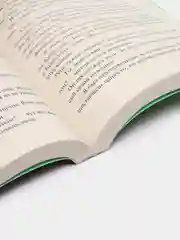 Ящик Пандоры, Бернар Вербер