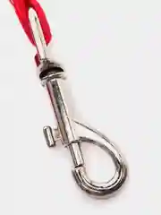 Красный поводок капроновый для собак