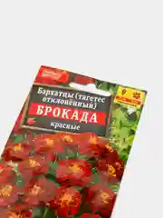 Семена Бархатцы "Брокада" красные