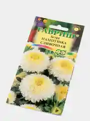 Семена Астра "Пампушка сливочная"