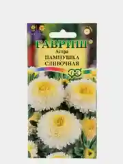 Семена Астра "Пампушка сливочная"