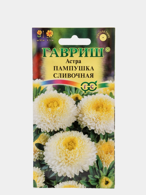 Семена Астра "Пампушка сливочная"
