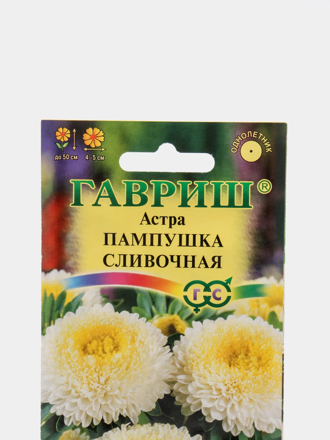 Семена Астра "Пампушка сливочная"