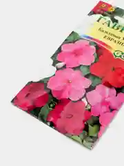 Семена Бальзамин Уоллера "Евразия"