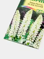 Семена Люпин "Белое Пламя"