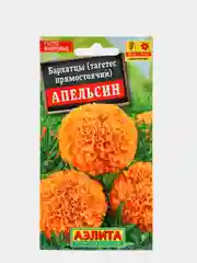 Семена Бархатцы (набор 2 уп) "Апельсин"