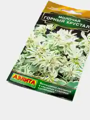 Семена Молочай "Горный хрусталь"