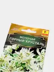 Семена Молочай "Горный хрусталь"