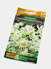 Семена Молочай "Горный хрусталь"
