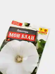 Семена Лаватера  Мон Блан