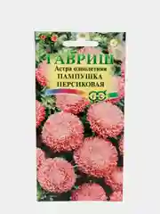 Семена Астра "Пампушка персиковая"
