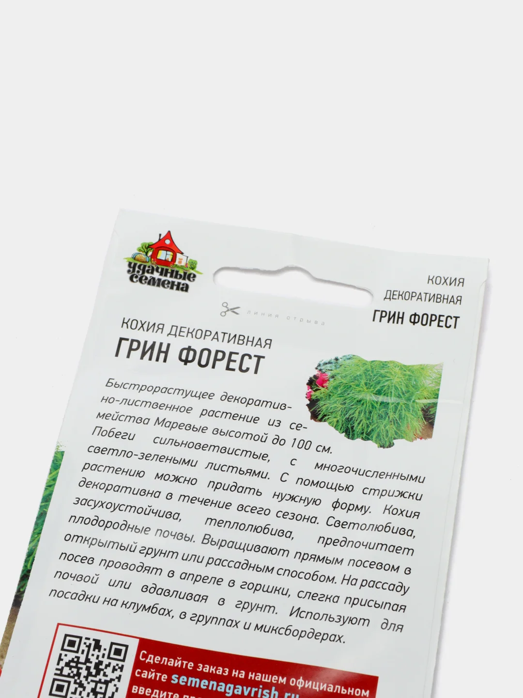 Семена Кохия (набор 2 уп) "Грин форест"