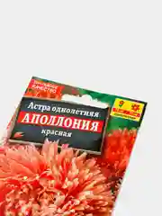 Семена Астра "Аполлония" красная