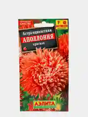 Семена Астра "Аполлония" красная