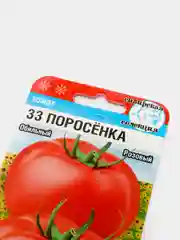 Семена Томат "33 поросенка"
