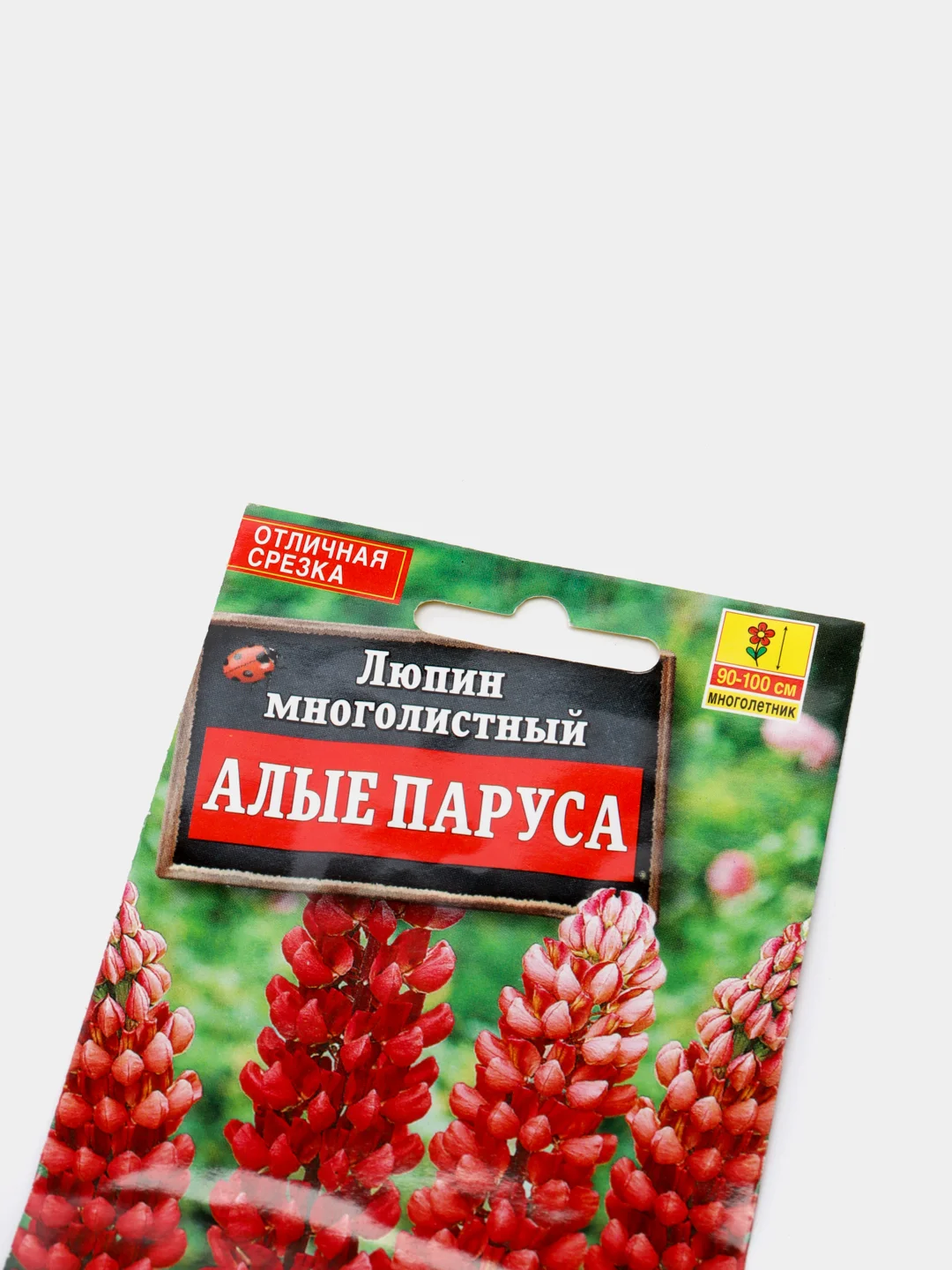 Семена Люпин многолетний "Алые паруса"