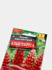 Семена Люпин многолетний "Алые паруса"