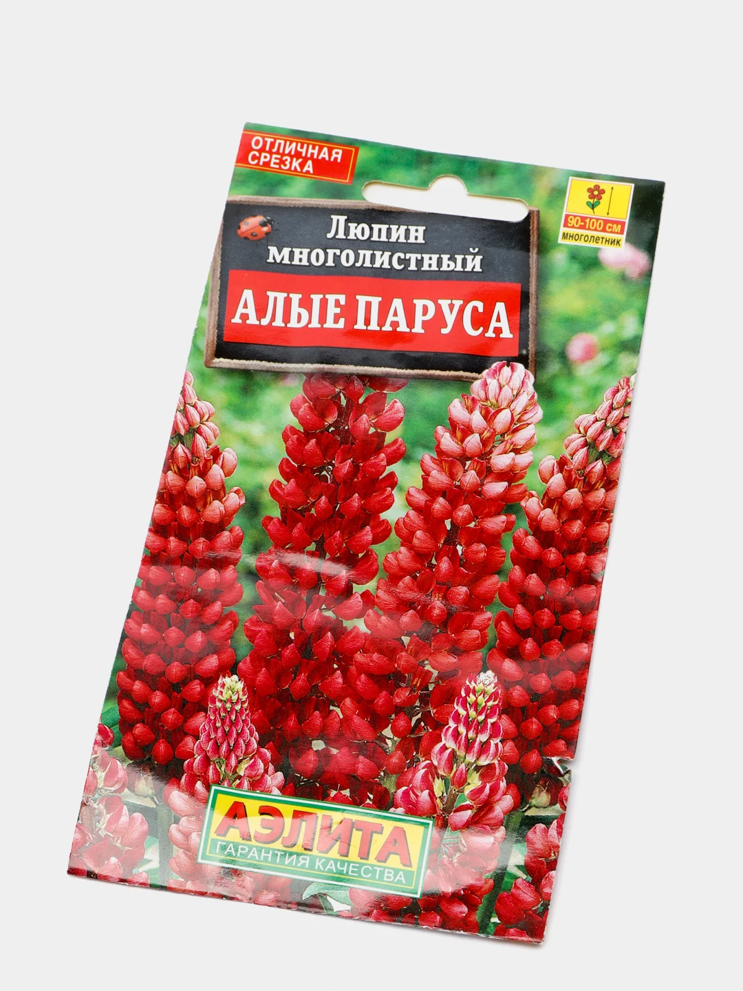 Семена Люпин многолетний "Алые паруса"
