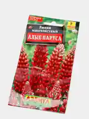 Семена Люпин многолетний "Алые паруса"