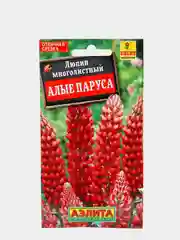 Семена Люпин многолетний "Алые паруса"
