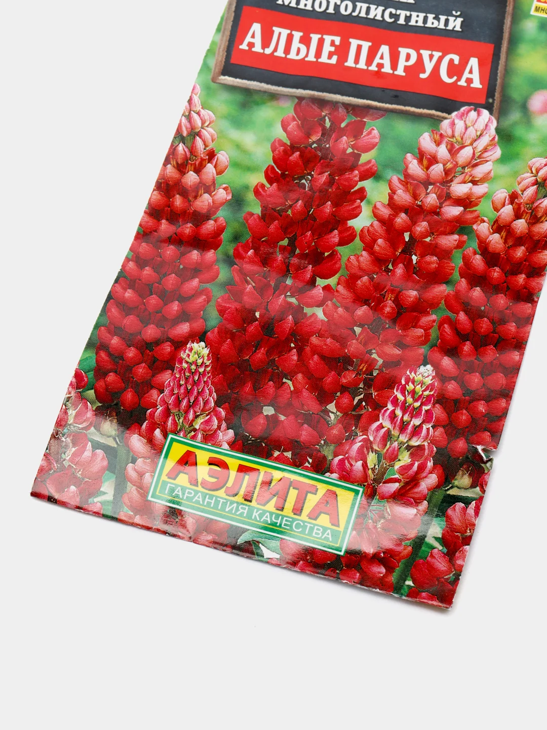 Семена Люпин многолетний "Алые паруса"