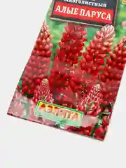 Семена Люпин многолетний "Алые паруса"