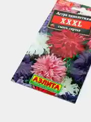 Семена Астра "XXXL" смесь сортов